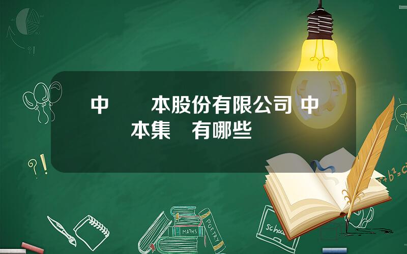 中國資本股份有限公司 中國資本集團有哪些
